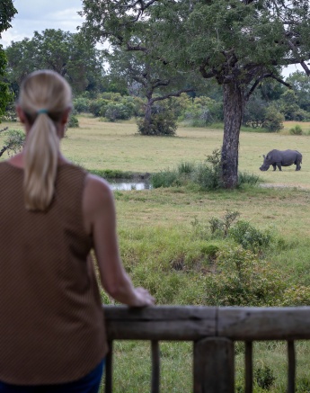 A rhino observed grazing from a bush lodge deck