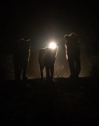 A21Jason Street   Kambula   080323   2