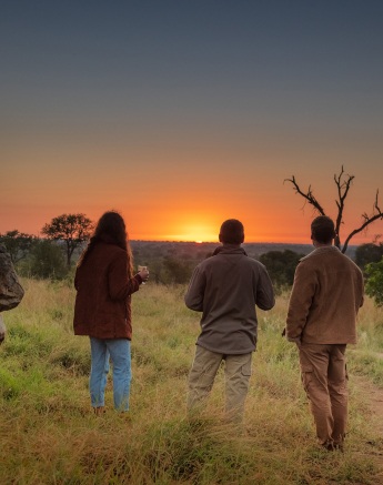 Enjoying the last of the sunset during an afternoon game drive in the Sabi Sands. 