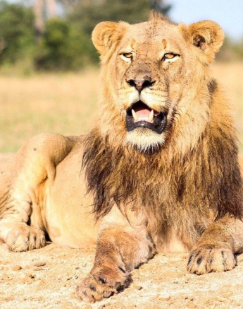 A10Ruan Mey Talamati 150523 1