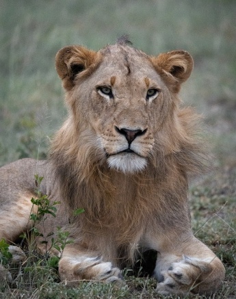 A11Daniel Greyvenstein   Kambula Breakaway   310123   2 Final