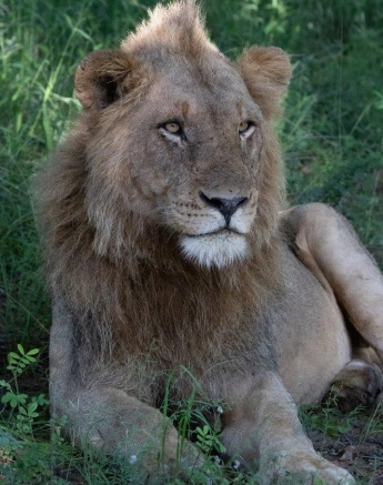 A08Jason Street Kambula Males 040323 1 A08Jason Street Kambula Males 040323 1