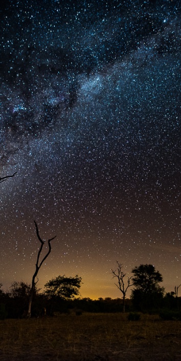 Stargazing at Bush Lodge - unveiling the wonders of the night sky.