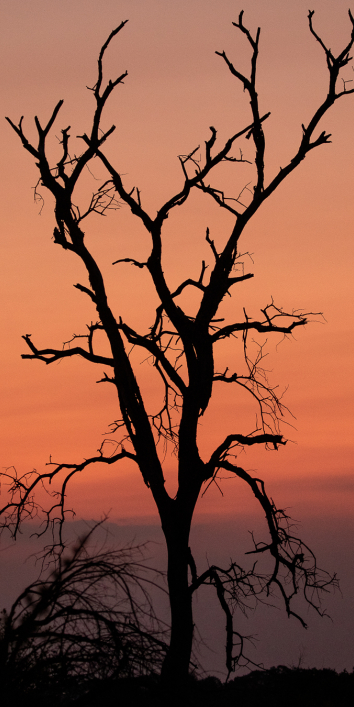 Landscapes 26