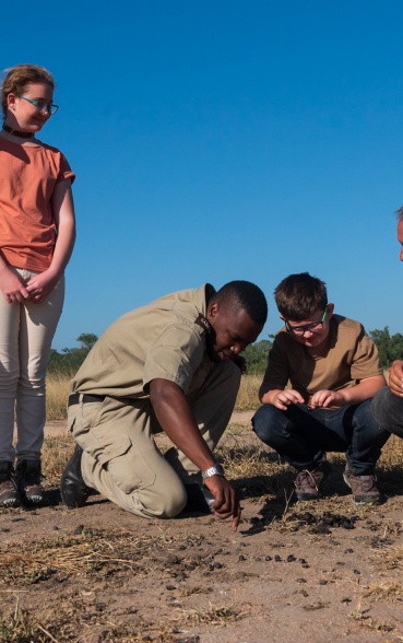 Sabi Sabi's expert guide shares insights with guests on a private safari walk
