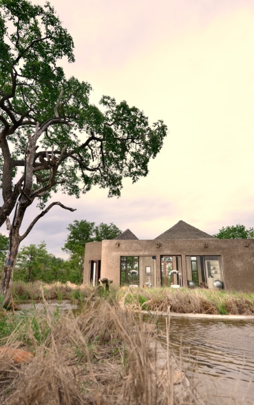 Enjoy a state-of-the-art gym facility at Sabi Sabi Earth Lodge, integrating wellness and fitness.