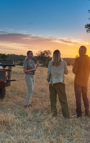 Discover a multitude of natural wonders in the company of your experienced Sabi Sabi safari guide.