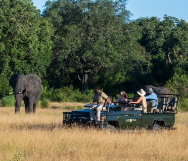 Amazing elephant sighting during a game drive at Sabi Sabi. Amazing elephant sighting during a game drive at Sabi Sabi.