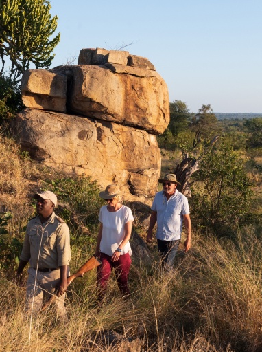 Experience the marvels of the natural world through educational and expert-led bush walks during your safari adventure with Sabi Sabi.