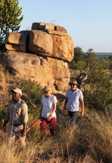 Experience the marvels of the natural world through educational and expert-led bush walks during your safari adventure with Sabi Sabi. Experience the marvels of the natural world through educational and expert-led bush walks during your safari adventure with Sabi Sabi.