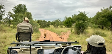 Sabi Sabi Guides Banner