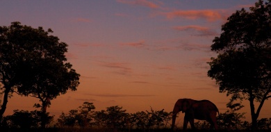 Sabi Sabi Beyond The Destination Banner