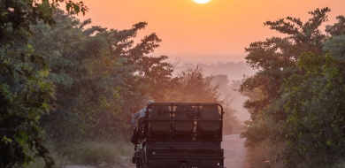 Sabi Sabi Beyond The Destination Game Drive