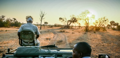 Sabi Sabi The Making Of A Ranger Safari Experience