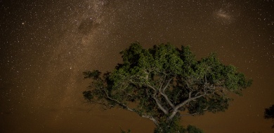 Sabi Sabi Transition Season Night Sky
