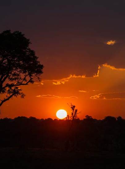 Sunset Rich Sunset Rich