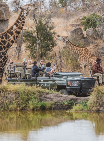 OnSafari (52).jpg OnSafari 52