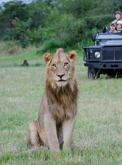 OnSafari 44 OnSafari 44