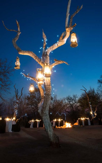 Cherish candlelit dinners at Sabi Sabi, where romance dances in the light. Cherish candlelit dinners at Sabi Sabi, where romance dances in the light.