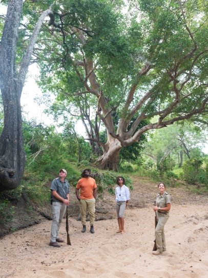Embark on an enlightening riverbed guided walk with Sabi Sabi guides.