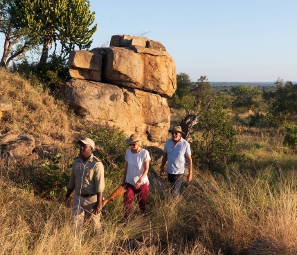 Sabi Sabi Rates Experience Walking Safari Sabi Sabi Rates Experience Walking Safari