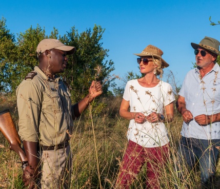 Immerse yourself in the untamed wilderness, exploring with safety and reassurance from Sabi Sabi's guides. Immerse yourself in the untamed wilderness, exploring with safety and reassurance from Sabi Sabi's guides.