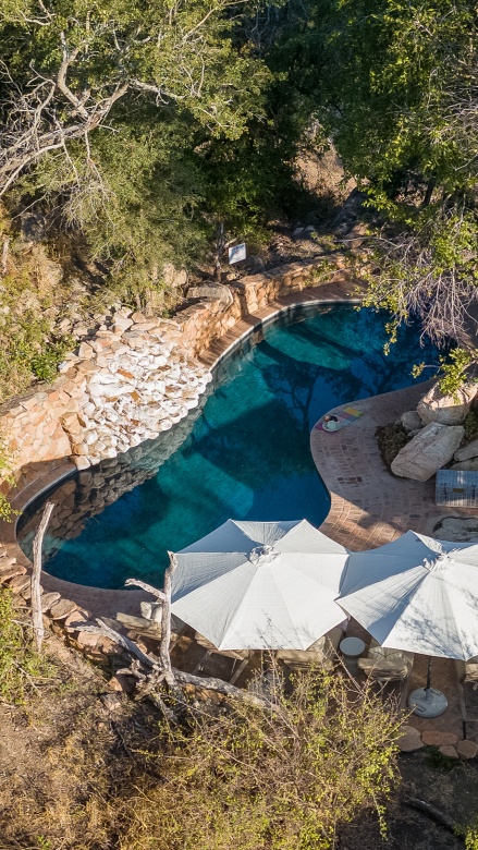 Sabi Web Little Bush Camp Lodge Pool Relaxation Sabi Web Little Bush Camp Lodge Pool Relaxation