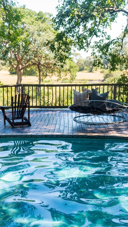 Sabi Sabi Bush Lodge Pool Sabi Sabi Bush Lodge Pool