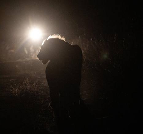 A23Jason Street   Kambula Males   080323   1