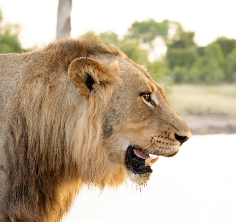 A03ronald Mutero   Talamati   24012023 2 Final