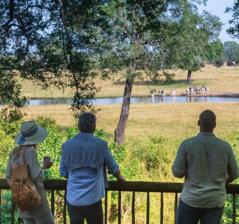 Guests watch the wildlife pass by the lodges from the viewing decks.