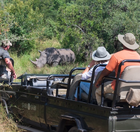 A rhino is spotted during a game drive from Sabi Sabi. 