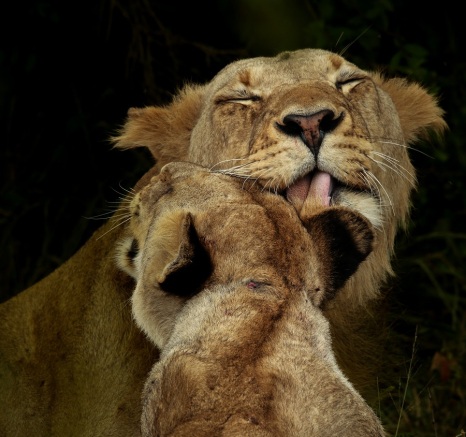 A12Ally Ross 20230130 Kambula Yongsters 01 Final