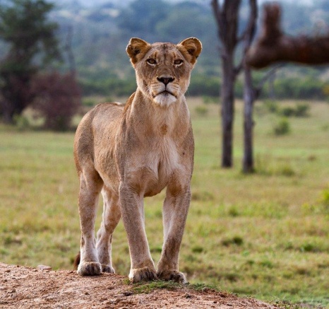 A12Dieter Lategan Talamati 150523 04 1 Of 1