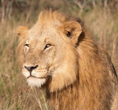 A20Jason Street   Kambula   220523   3