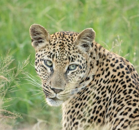 A15ronald Mutero   Golonyi   07032023 4