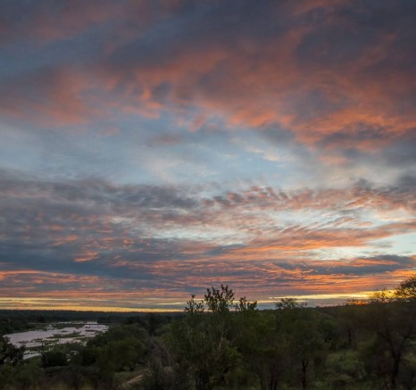 Sunrise over the wild African plains.