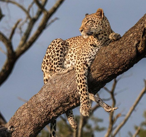 A09Coenraad Stapelberg Kigilia 070323 2