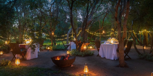 Indulge in magical starlit dining at Sabi Sabi, savoring every bite. Indulge in magical starlit dining at Sabi Sabi, savoring every bite.