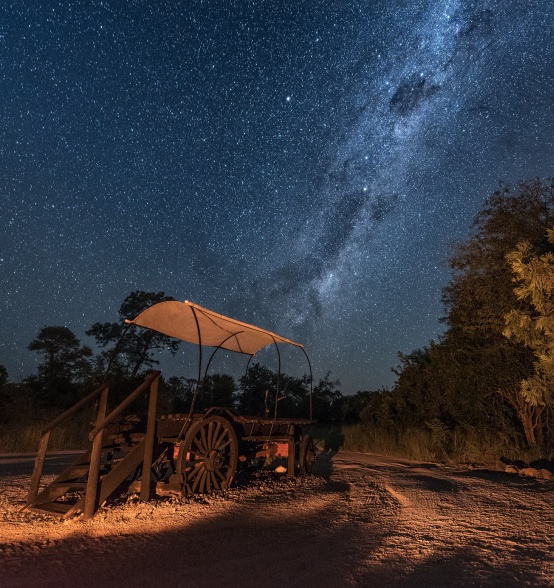 Marvel at the unparalleled grandeur of the Milky Way, unhindered by any obstacles, at Sabi Sabi.