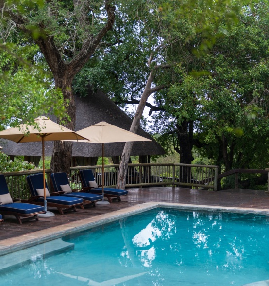 Refresh and rejuvenate in Sabi Sabi's exquisite pool, a haven of pure luxury.