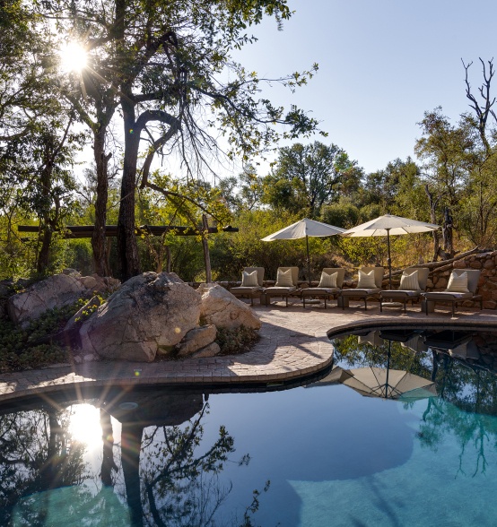 Sabi Web Little Bush Camp Gallery Pool Area Sabi Web Little Bush Camp Gallery Pool Area