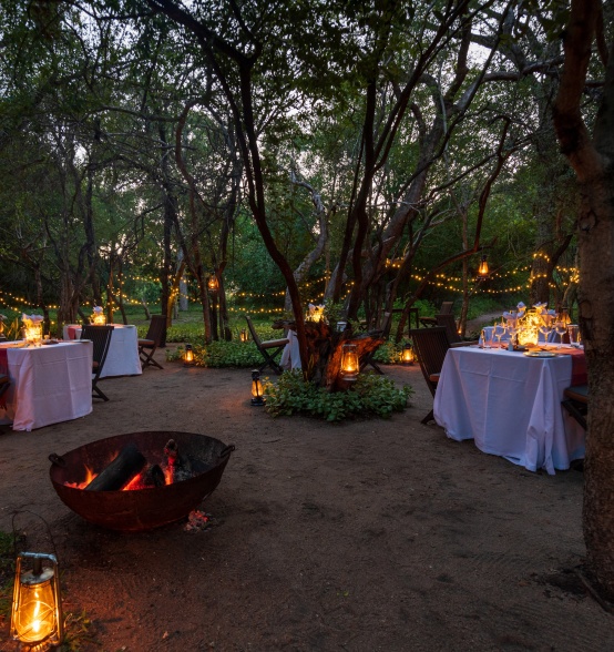Romantic dining by candlelight in the Sabi Sabi bush at Little Bush Camp.