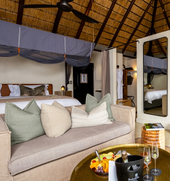 Sabi Web Little Bush Camp Gallery Suites Lounge Sabi Web Little Bush Camp Gallery Suites Lounge