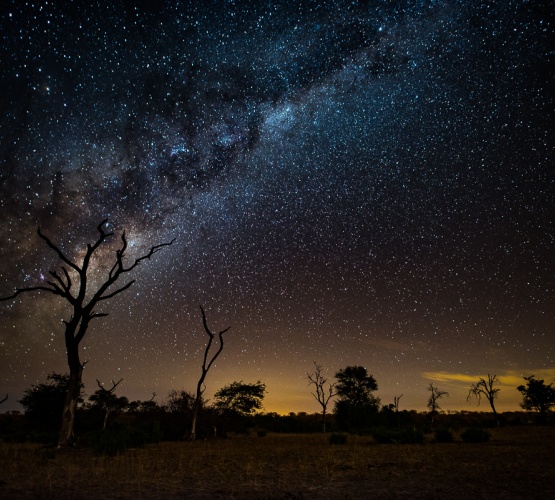 Witness the milky way from Sabi Sabi Private Game Reserve bush.