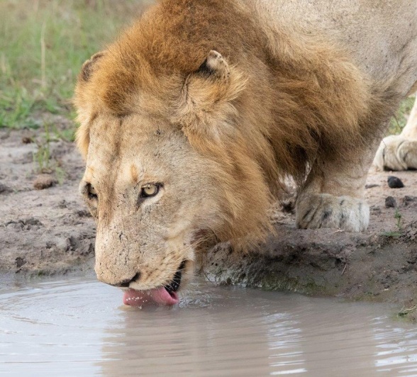 A09Jason Street   Nkahuma Male   210523   1