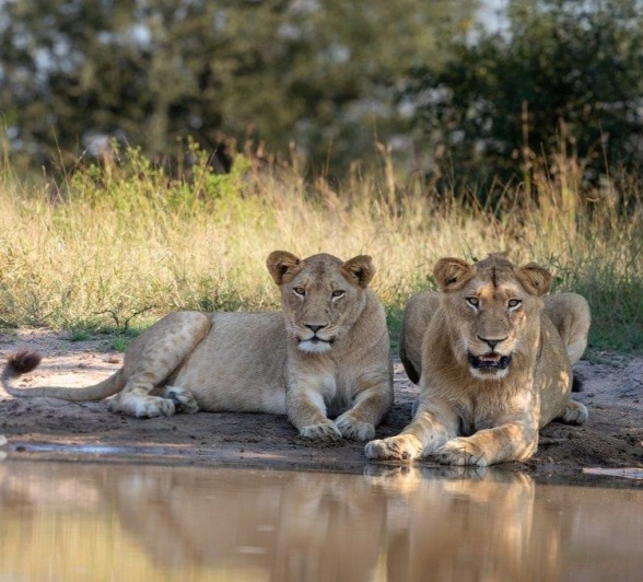 A02Jason Street   Styx   150523   1