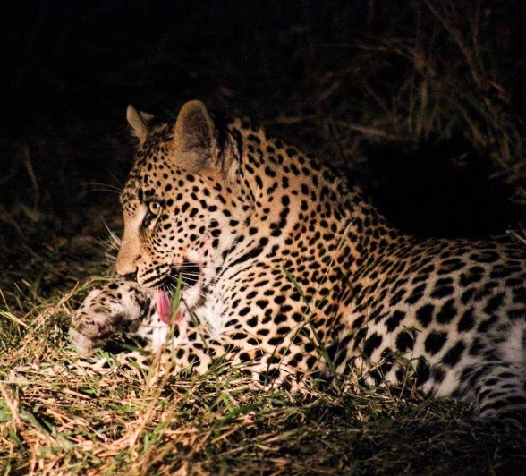 A32Ruan Mey Nottens Male 210523 2