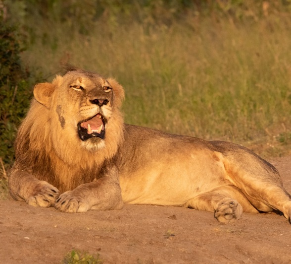 A02Jason Street   Talamati   230123   2 Final