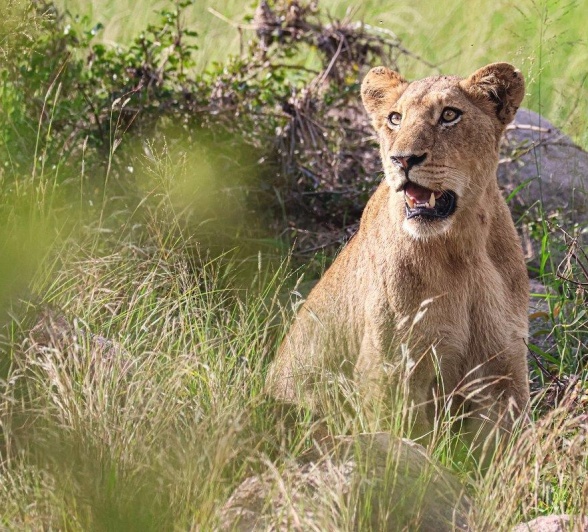 A29Coenraad Stapelberg Styx 100323 3